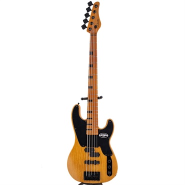 SCHECTER MODEL-T SESSION 5 [AD-MT-SS-5] (ANS) 画像1