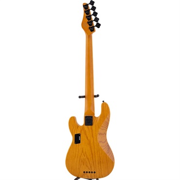 SCHECTER MODEL-T SESSION 5 [AD-MT-SS-5] (ANS) 画像2