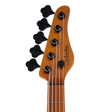 SCHECTER MODEL-T SESSION 5 [AD-MT-SS-5] (ANS) 画像3