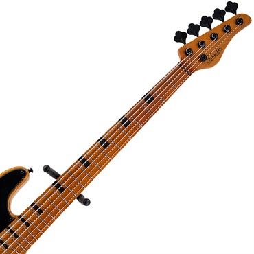 SCHECTER MODEL-T SESSION 5 [AD-MT-SS-5] (ANS) 画像4