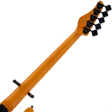 SCHECTER MODEL-T SESSION 5 [AD-MT-SS-5] (ANS) 画像5