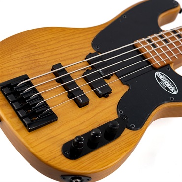 SCHECTER MODEL-T SESSION 5 [AD-MT-SS-5] (ANS) 画像7