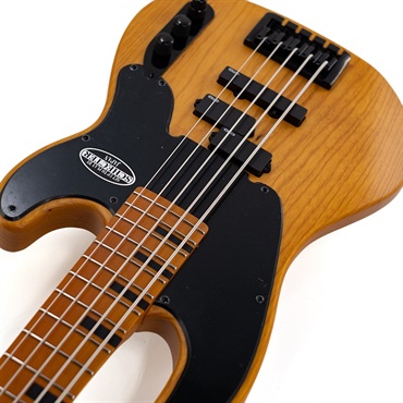 SCHECTER MODEL-T SESSION 5 [AD-MT-SS-5] (ANS) 画像8