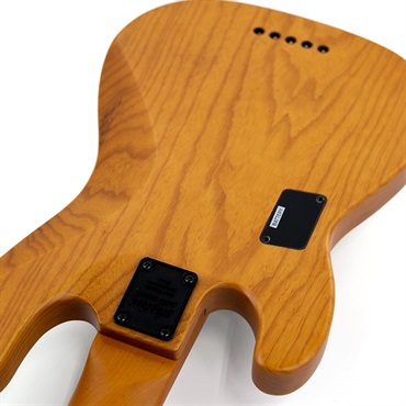 SCHECTER MODEL-T SESSION 5 [AD-MT-SS-5] (ANS) 画像9