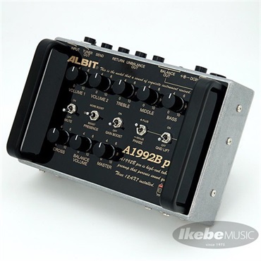 ALBIT A1992B pro Custom [IKEBE Order Model] 画像6