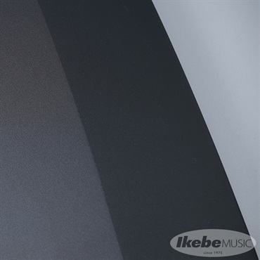 DEXIBELL VIVO H10 Black (送料別途お見積もり/代引き不可) 画像7