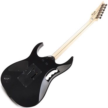 Ibanez JEM77P-BFP (Blue Floral Pattern) [Steve Vai Model] 画像2