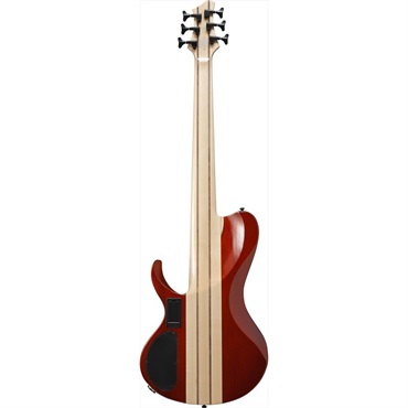 Ibanez Bass Workshop BTB866SC-WKL 画像1