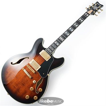 Ibanez JSM100-VT [John Scofield Signature Model] 画像1