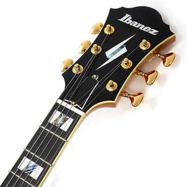 Ibanez PM200-NT [Pat Metheny Signature Model] 画像8