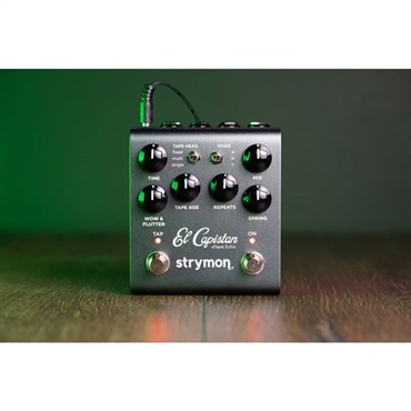 strymon El Capistan V2【Tape Delay】（ストライモン）テープエコー 画像2