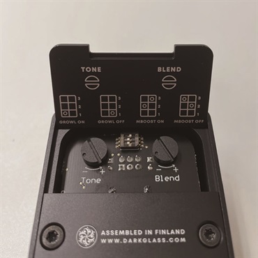 Darkglass Electronics Microtubes B1K 画像4