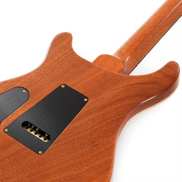 P.R.S. 【Paul Reed Smith氏サインイン入りバックプレート付属！】 Ikebe Original Wood Library Custom24 McCarty Thickness Tiger Eye #0340405 【2022年生産モデル】 画像5