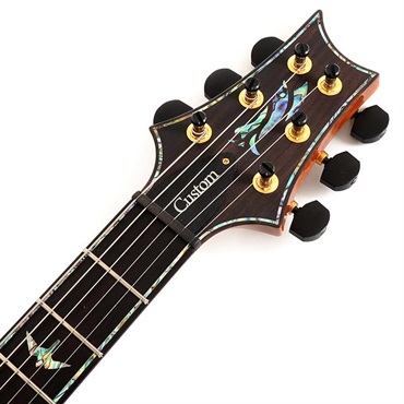 P.R.S. 【Paul Reed Smith氏サインイン入りバックプレート付属！】 Ikebe Original Wood Library Custom24 McCarty Thickness Tiger Eye #0340405 【2022年生産モデル】 画像6