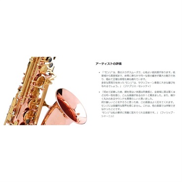 Buffet Crampon アルトサックス ビュッフェ・クランポン SENZO センゾ 銅製 銅メッキ仕上(BC2525-7B-0J) 【調整&セットアップ後出荷】【5年間キーバランス調整無料】 画像4