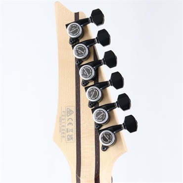 Ibanez Prestige RGD3121-PRF (Polar Lights Flat) [SPOT MODEL] 画像9