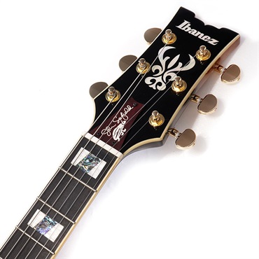Ibanez JSM10-VYS [John Scofield Model] 画像8