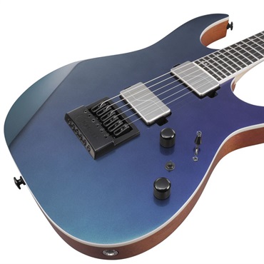 Ibanez Prestige Axe Design Lab RG5121ET-PRT 画像2