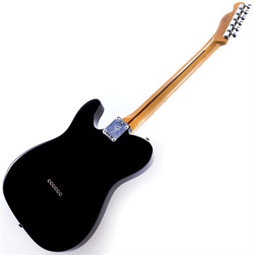 Fender MEX Vintera II 60s Telecaster Thinline (Black) 画像2