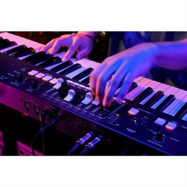 HAMMOND M-solo (49鍵盤・ハモンドドローバーオルガン) 画像7
