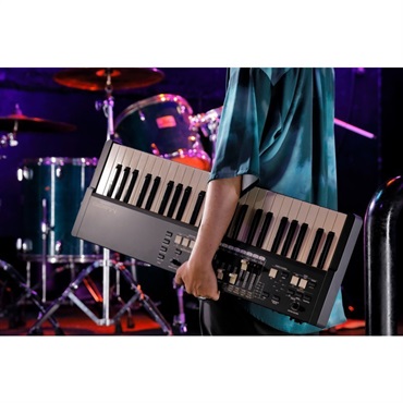 HAMMOND M-solo (49鍵盤・ハモンドドローバーオルガン) 画像9