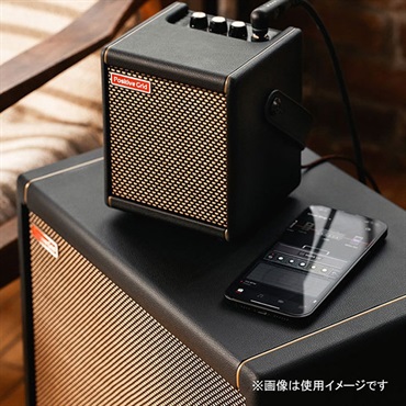 Positive Grid Spark CAB [140Wパワード・キャビネット]（ポジティブ ポジティヴ グリッド） 画像4