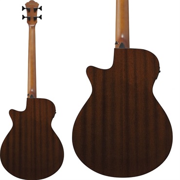 Ibanez AEGB24FE-MHS [SPOT MODEL] 画像1