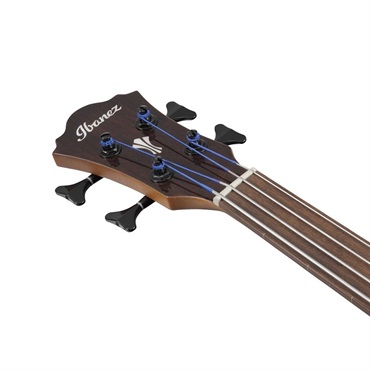 Ibanez AEGB24FE-MHS [SPOT MODEL] 画像2