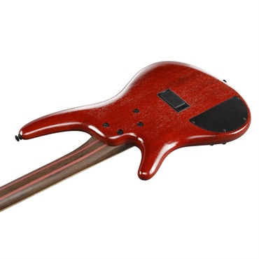 Ibanez 【入荷待ち、ご予約受付中】　Premium SR1420B-CGL 画像3