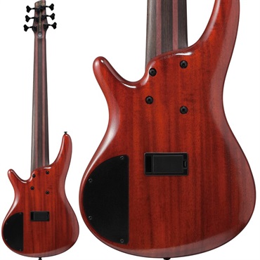 Ibanez Premium SR1426B-CGL [SPOT MODEL] 【生産完了品】 【夏先取り大特価セール】 画像1