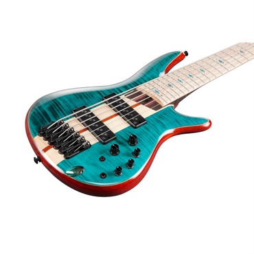 Ibanez Premium SR1426B-CGL [SPOT MODEL] 【生産完了品】 【夏先取り大特価セール】 画像2
