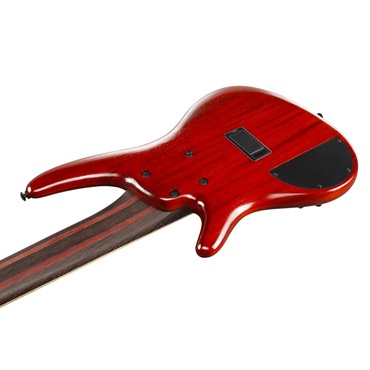 Ibanez Premium SR1426B-CGL [SPOT MODEL] 【生産完了品】 【夏先取り大特価セール】 画像3