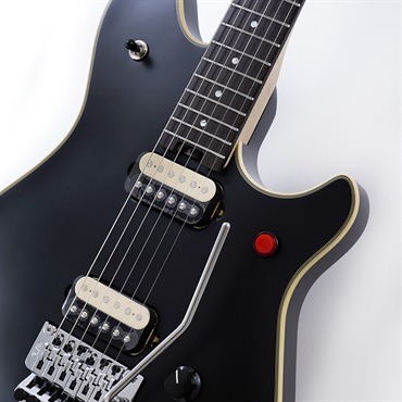 EVH MIJ Series Edward Van Halen Signature Wolfgang Stealth 画像3