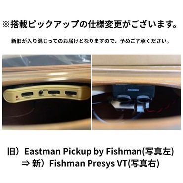 EASTMAN PCH1-GACE イーストマン 画像10
