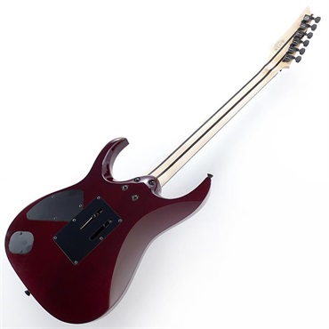 Ibanez j.custom Axe Design Lab RG8870-AGT SN.F2600637 画像2