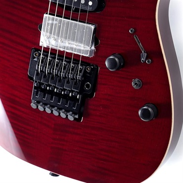 Ibanez j.custom Axe Design Lab RG8870-AGT SN.F2600637 画像4