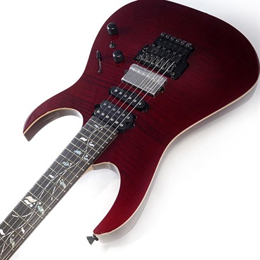 Ibanez j.custom Axe Design Lab RG8870-AGT SN.F2600637 画像5