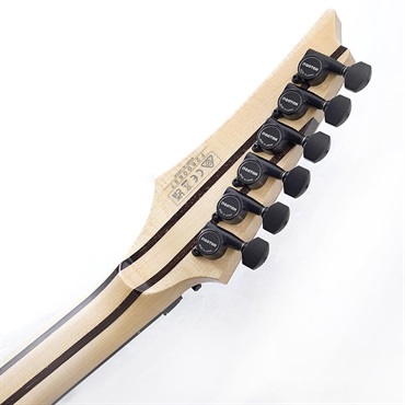 Ibanez j.custom Axe Design Lab RG8870-AGT SN.F2600637 画像9