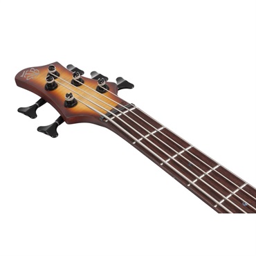 Ibanez BTB705LM-NNF [SPOT MODEL] 画像4