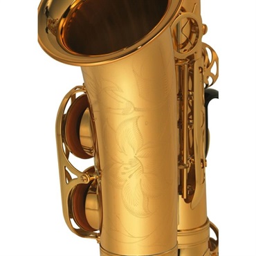 YAMAHA 【即納！】アルトサックス ヤマハ YAS-875EXG 【調整&セットアップ後出荷】【5年間キーバランス調整無料】【演奏＆お手入れに必要なもの全て付いてます】 画像2
