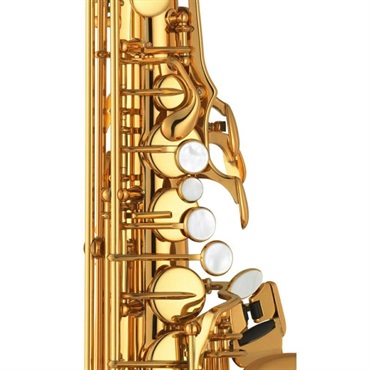 YAMAHA 【即納！】アルトサックス ヤマハ YAS-875EXG 【調整&セットアップ後出荷】【5年間キーバランス調整無料】【演奏＆お手入れに必要なもの全て付いてます】 画像3