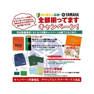 YAMAHA 【即納！】アルトサックス ヤマハ YAS-875EXG 【調整&セットアップ後出荷】【5年間キーバランス調整無料】【演奏＆お手入れに必要なもの全て付いてます】 画像9