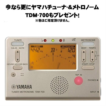 YAMAHA 【即納！】アルトサックス ヤマハ YAS-875EXG 【調整&セットアップ後出荷】【5年間キーバランス調整無料】【演奏＆お手入れに必要なもの全て付いてます】 画像10