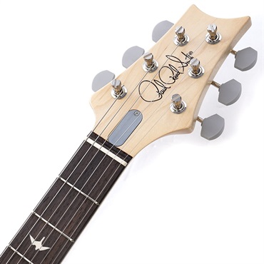 P.R.S. Silver Sky Rosewood (Venetian Blue) 画像8