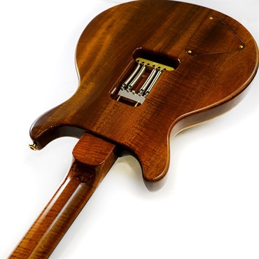 P.R.S. Private Stock Brazilian #11043 SANTANA II Burnt Gold Smokeburst 画像6
