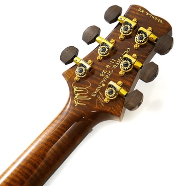 P.R.S. Private Stock Brazilian #11043 SANTANA II Burnt Gold Smokeburst 画像9