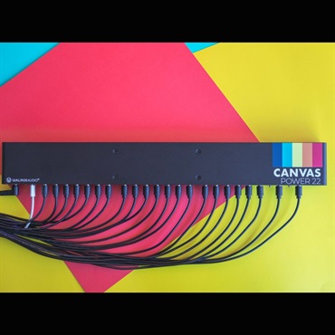 WALRUS AUDIO Canvas Power 22(リンクケーブル付属) 画像6