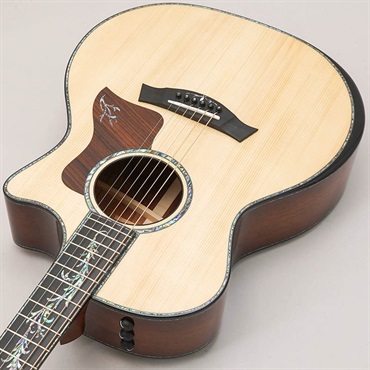 TAYLOR Presentation Series PS14ce Adirondack Top テイラー 画像4