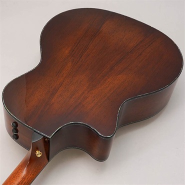 TAYLOR Presentation Series PS14ce Adirondack Top テイラー 画像5
