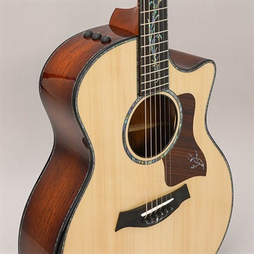 TAYLOR Presentation Series PS14ce Adirondack Top テイラー 画像6